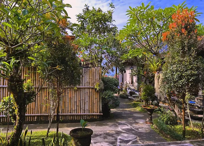 Milla's 3* Sidemen (Bali)